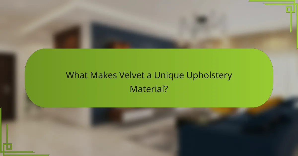What Makes Velvet a Unique Upholstery Material?